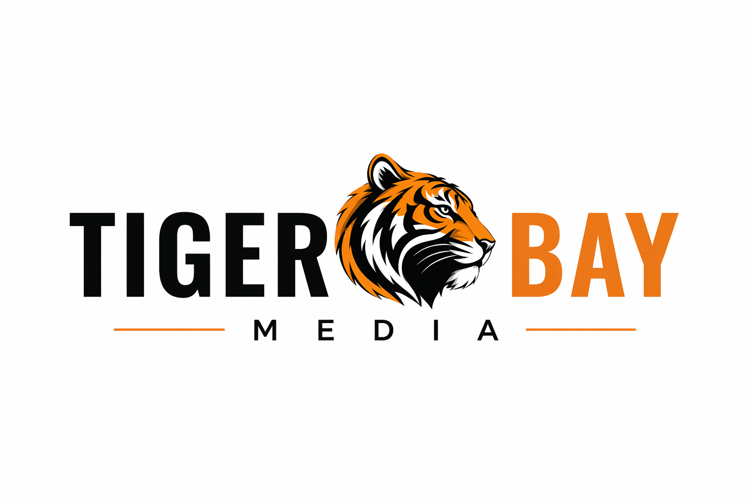 Tiger Bay Media