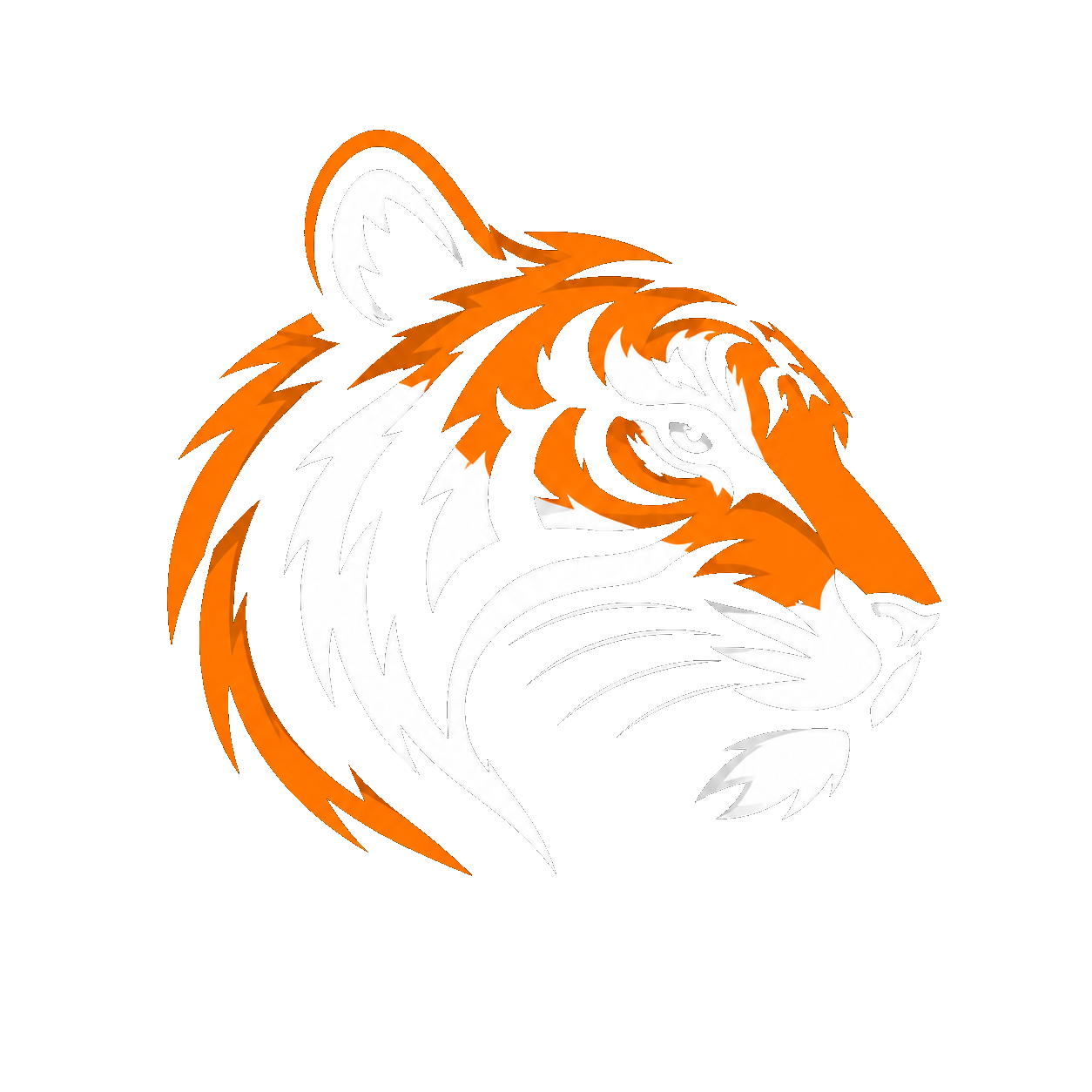 Tiger Bay Media